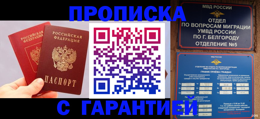 прописка 2025 в Порхове